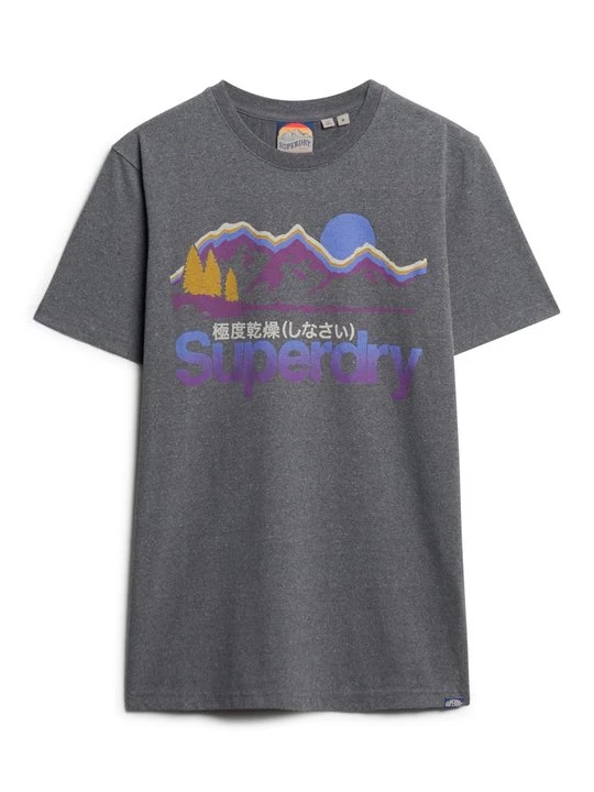 Foto van product T-shirt print Superdry grijs