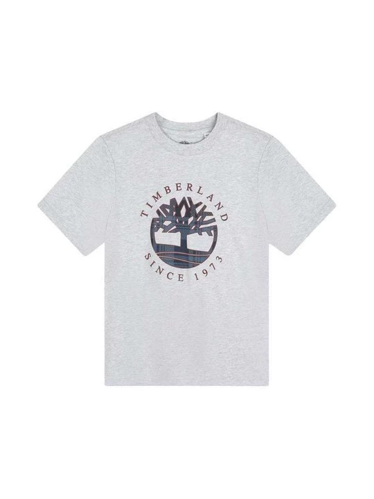 Foto van product T-shirt print Timberland grijs