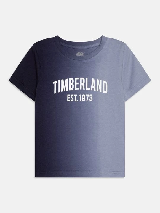 Foto van product T-shirt print Timberland lichtblauw