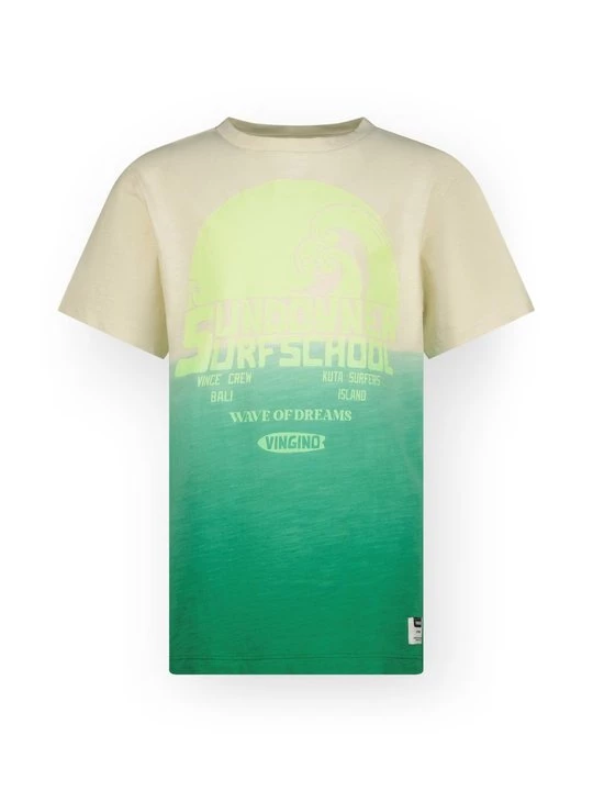 Foto van product T-shirt print VINGINO groen