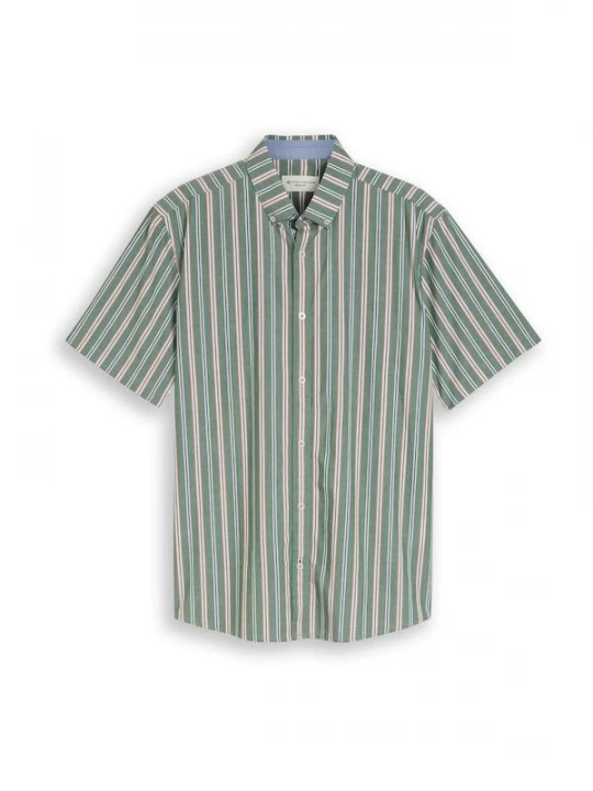 Foto van product TOM TAILOR Overhemd groen / wit