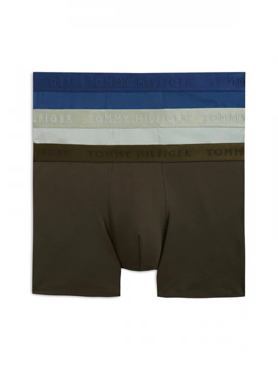 Foto van product TOMMY HILFIGER Boxershorts 'Everyday' blauw / olijfgroen / pastelgroen