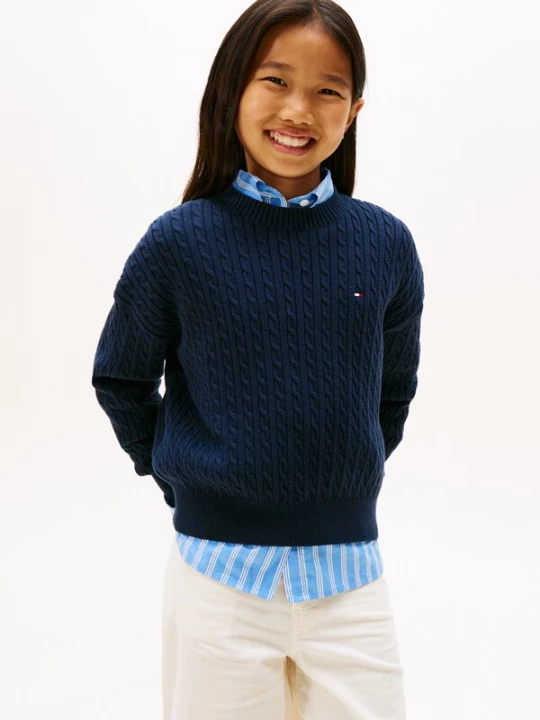 Foto van product TOMMY HILFIGER Trui navy