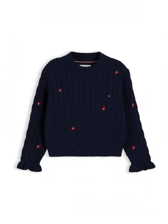 Foto van product TOMMY HILFIGER Trui navy / donkerrood / offwhite