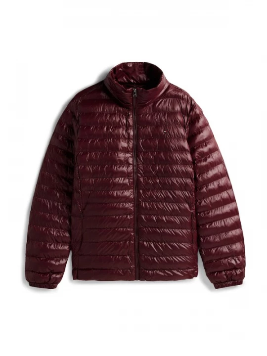 Foto van product TOMMY HILFIGER Tussenjas bourgogne