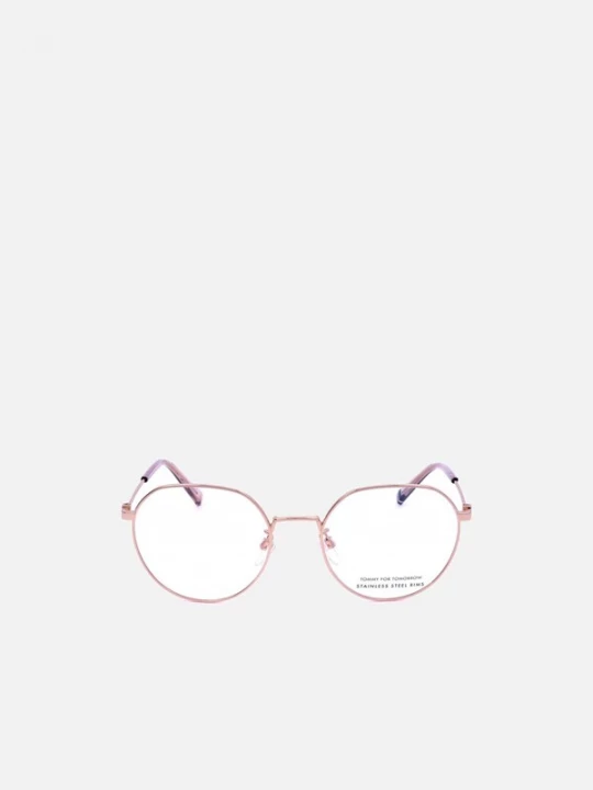 Foto van product TOMMY HILFIGER Zonnebril 'Tommy Hilfiger TH 2064 / G Gold copper / 19 / 145 WOMAN Eyewear Frame' goud