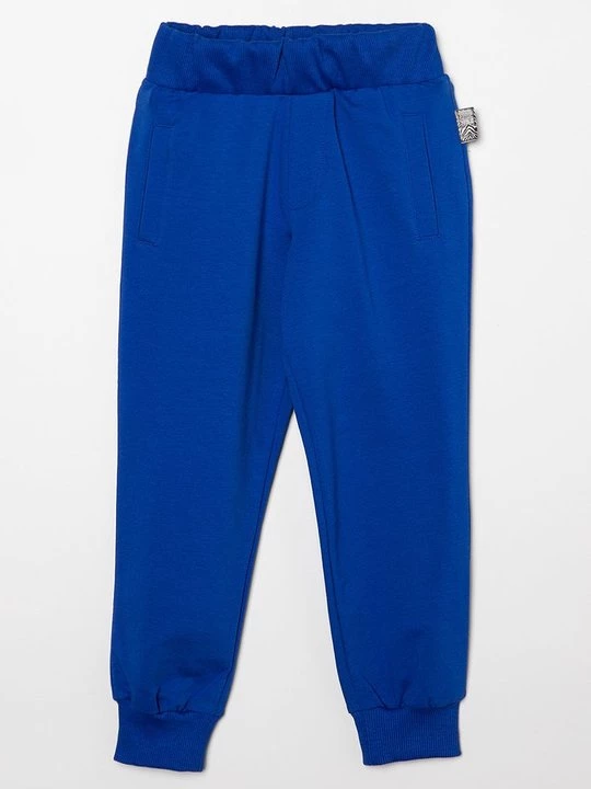 Foto van product Trainingsbroek Roberto Cavalli blauw
