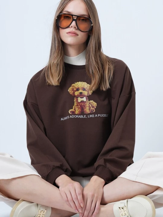 Foto van product Trend Alaçatı Stili Sweatshirt camel / bruin / wit