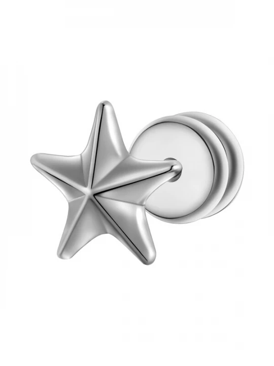 Foto van product True Rebels Oorbel zilver