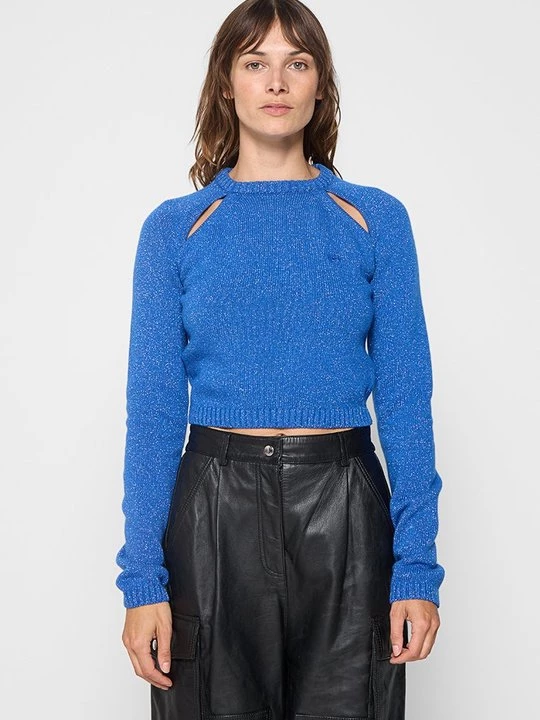 Foto van product Trui Chiara Ferragni koningsblauw