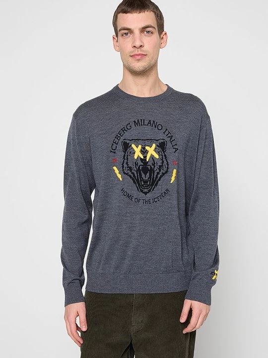 Foto van product Trui Iceberg grijs