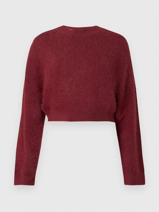Foto van product Trui LeGer donkerrood