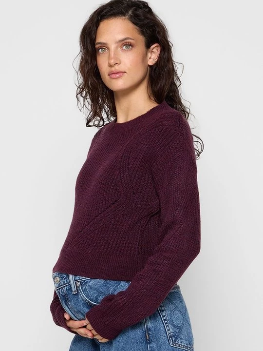 Foto van product Trui Mamalicious bordeauxrood