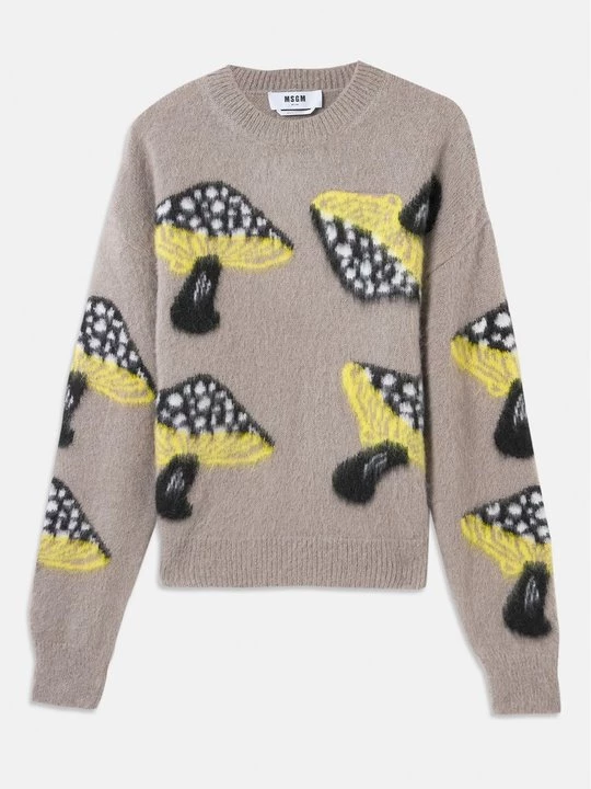 Foto van product Trui MSGM grijs