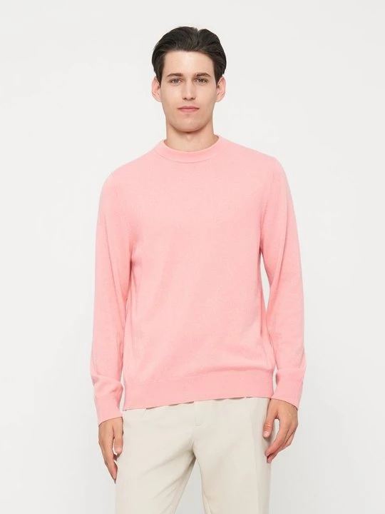Foto van product Trui Sandro roze