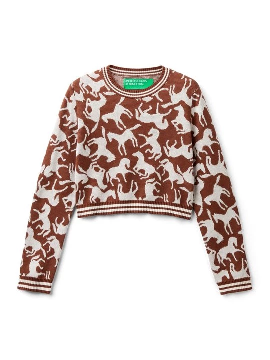 Foto van product Trui United Colors Of Benetton