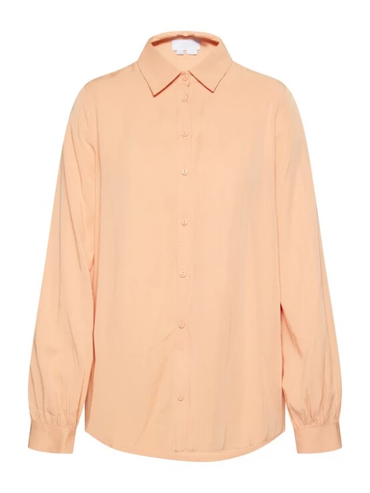 Foto van product usha BLUE LABEL Blouse abrikoos
