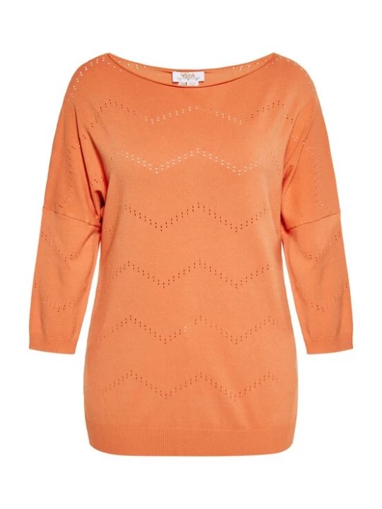 Foto van product usha FESTIVAL Trui oranje