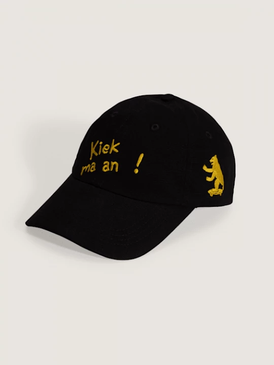 Foto van product Vans - Berlin Half Box Curved Bill Jockey Hat, Man, Zwart, Grootte: Een maat