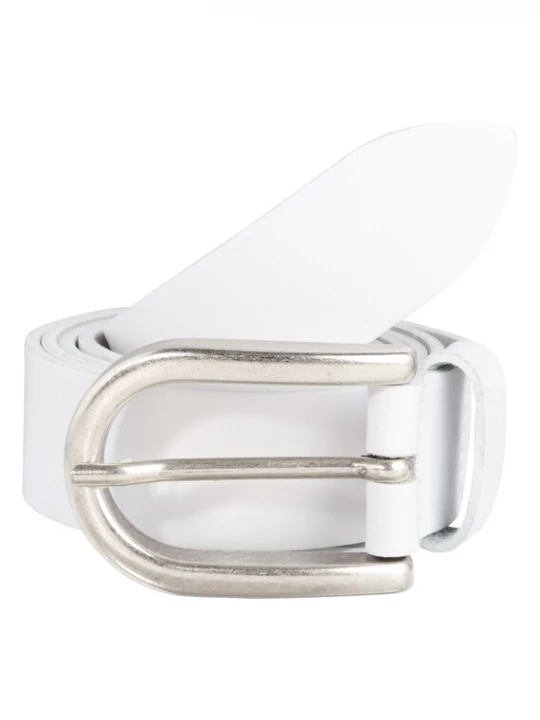 Foto van product VANZETTI Riem zilver / wit