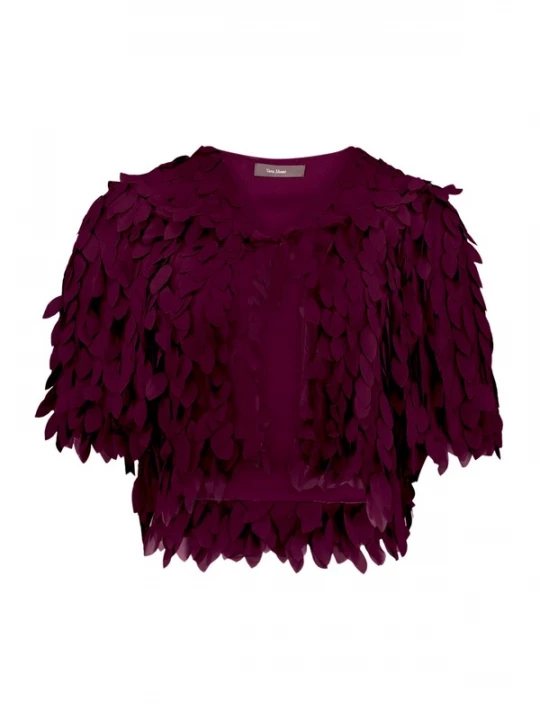 Foto van product Vera Mont Blazers aubergine