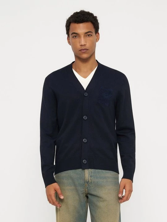 Foto van product Vest Sandro blauw