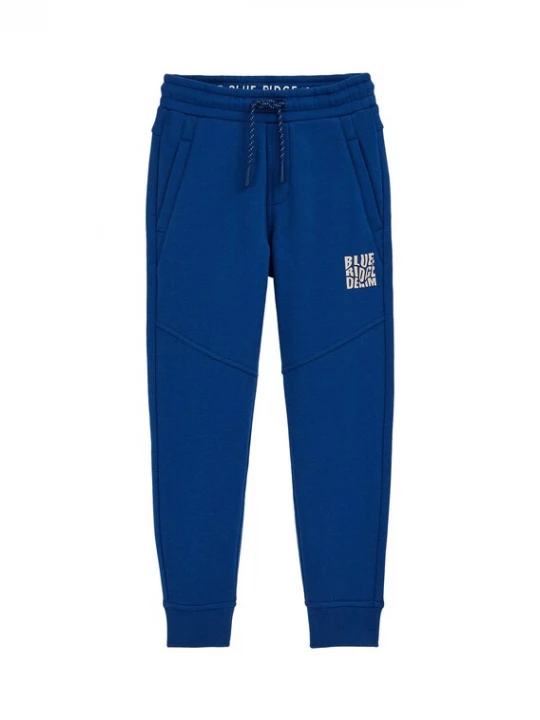 Foto van product WE Fashion Broek beige / kobaltblauw