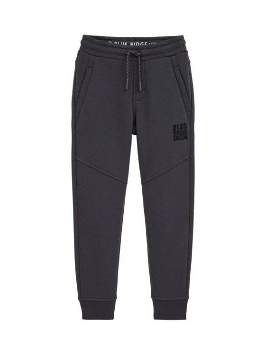 Foto van product WE Fashion Broek grijs / zwart