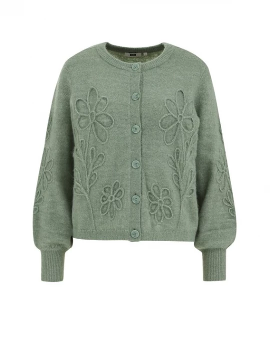 Foto van product WE Fashion Gebreid vest groen