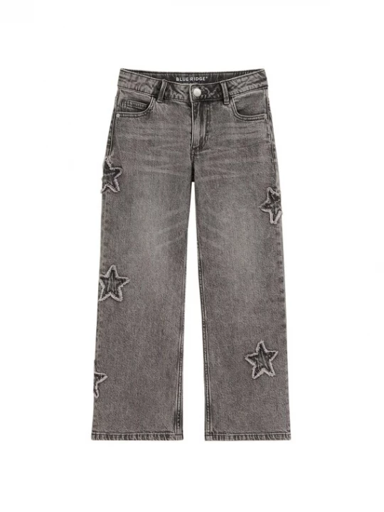 Foto van product WE Fashion Jeans grijs