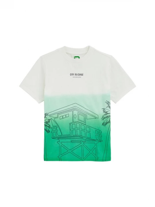 Foto van product WE Fashion Shirt groen / zwart / wit