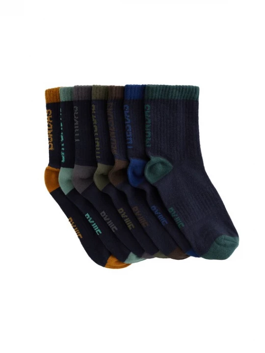 Foto van product WE Fashion Sokken marine / donkergrijs / olijfgroen / spar