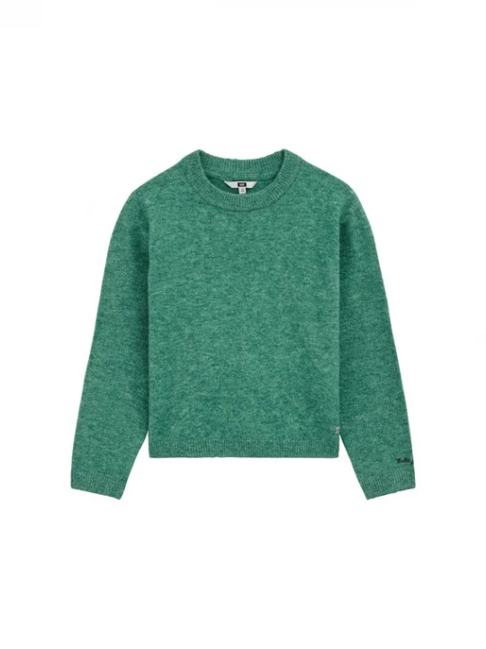 Foto van product WE Fashion Trui groen