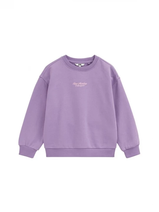 Foto van product WE Fashion Trui lavendel