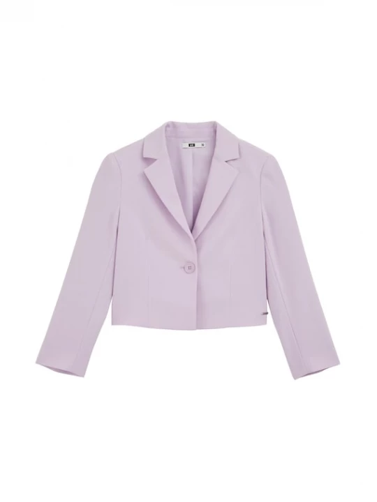 Foto van product WE Fashion Tussenjas lavendel