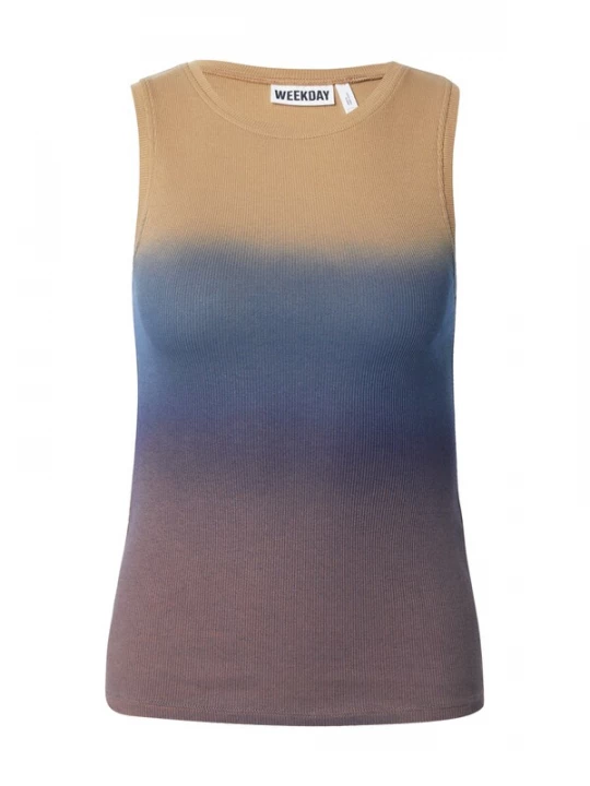 Foto van product WEEKDAY Top 'Bobby' donkerbeige / blauw / lila