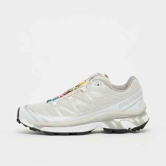 Foto van product XT-6 Salomon grijs