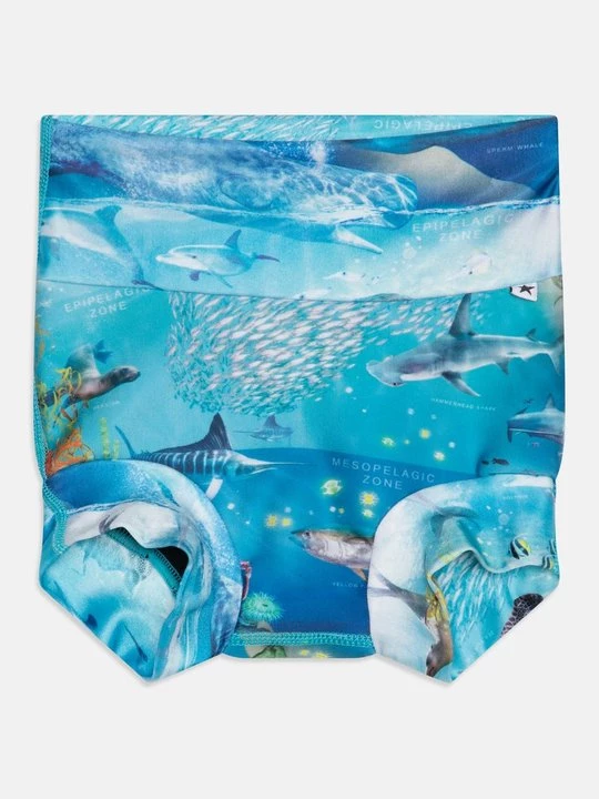 Foto van product Zwembroek Molo blauw