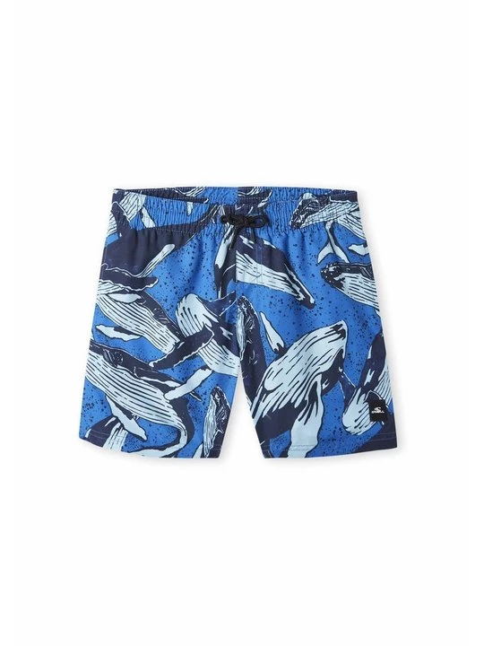 Foto van product Zwemshorts O'Neill blauw
