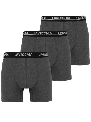 Foto van product Lavecchia Boxershorts 'FL-1020 Übergrößen' antraciet
