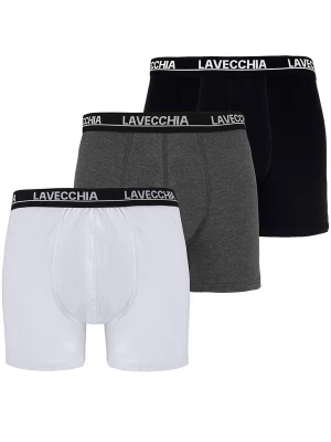 Foto van product Lavecchia Boxershorts 'FL-1020 Übergrößen' gemengde kleuren