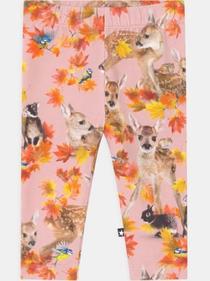 Foto van product Legging Molo