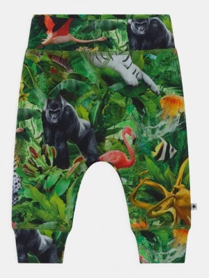 Foto van product Legging Molo groen