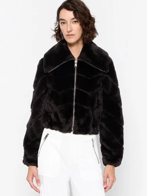 Foto van product Leren jas AllSaints donkerbruin