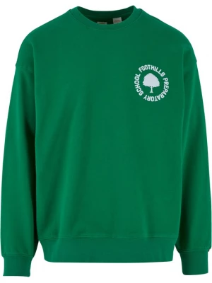 Foto van product LEVI'S ® Sweatshirt 'Gold Tab' groen / wit
