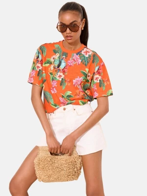 Foto van product Lipsy Shirt lichtblauw / spar / donkeroranje / pitaja roze