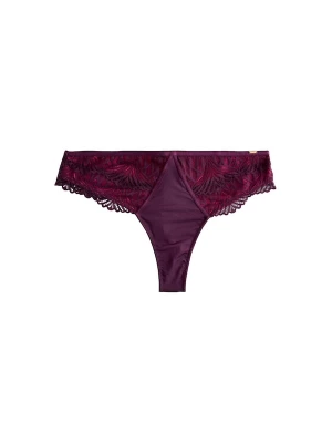 Foto van product Lipsy String aubergine / pink