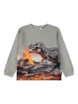 Foto van product Longsleeve Molo grijs