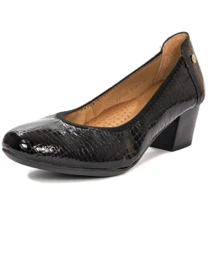 Foto van product Maciejka Pumps '04802-01-00-1' zwart