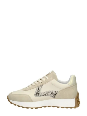Foto van product MARUTI Veterschoen 'Kane' beige